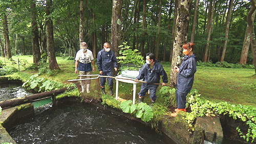 まるで高級魚！？上質な味わいの「伊達いわな」