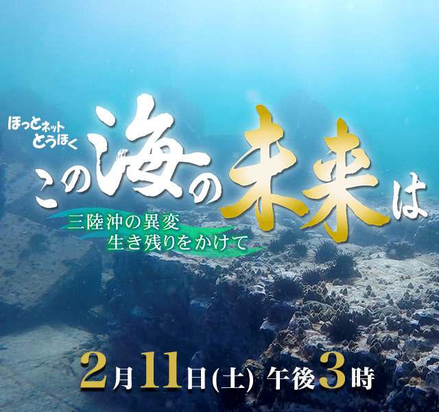 ほっとネットとうほく「この海の未来は ～三陸沖の異変 生き残りをかけて～」