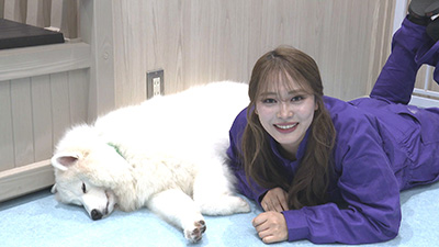 めざせ地上波 いぎなり配信中!~ついに地上波進出しちゃいましたSP~