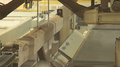 第48回 全国育樹祭特別番組「発見！未来を拓く森のチカラ」