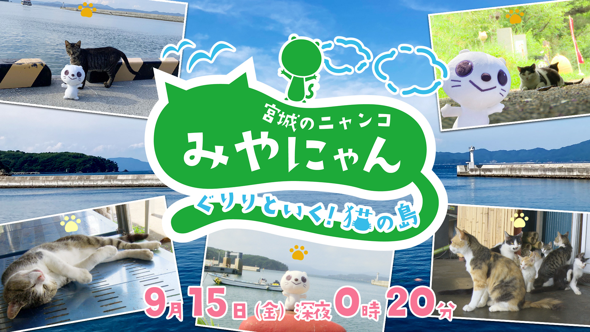 宮城のニャンコ みやにゃん　～ぐりりといく！猫の島～  15日(金)深夜0時20分