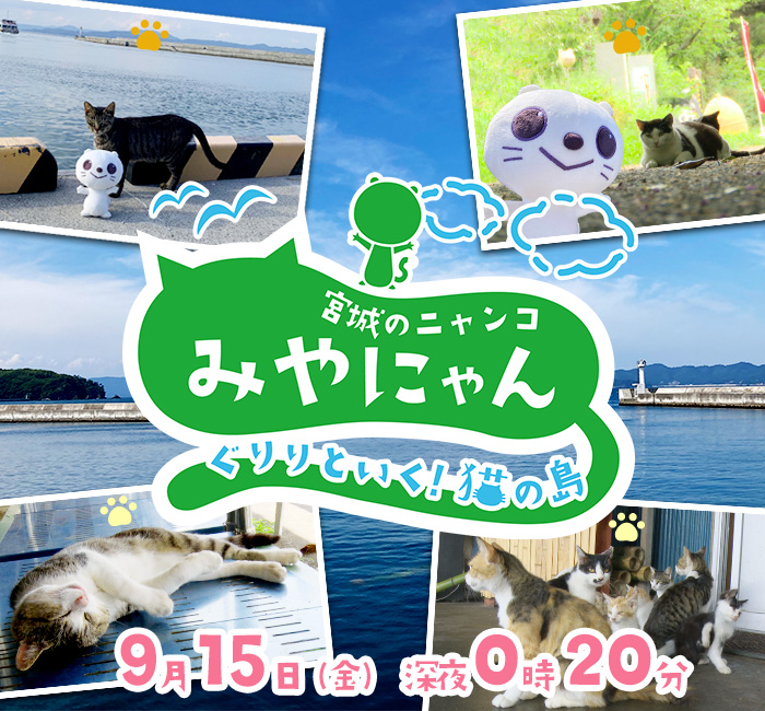 宮城のニャンコ みやにゃん　～ぐりりといく！猫の島～  15日(金)深夜0時20分