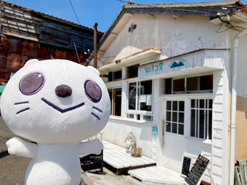 宮城のニャンコ みやにゃん　～ぐりりといく！猫の島～