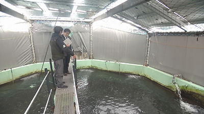 ”サバの町”石巻で陸上養殖に挑む！