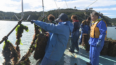 これからの「カキ養殖」は？