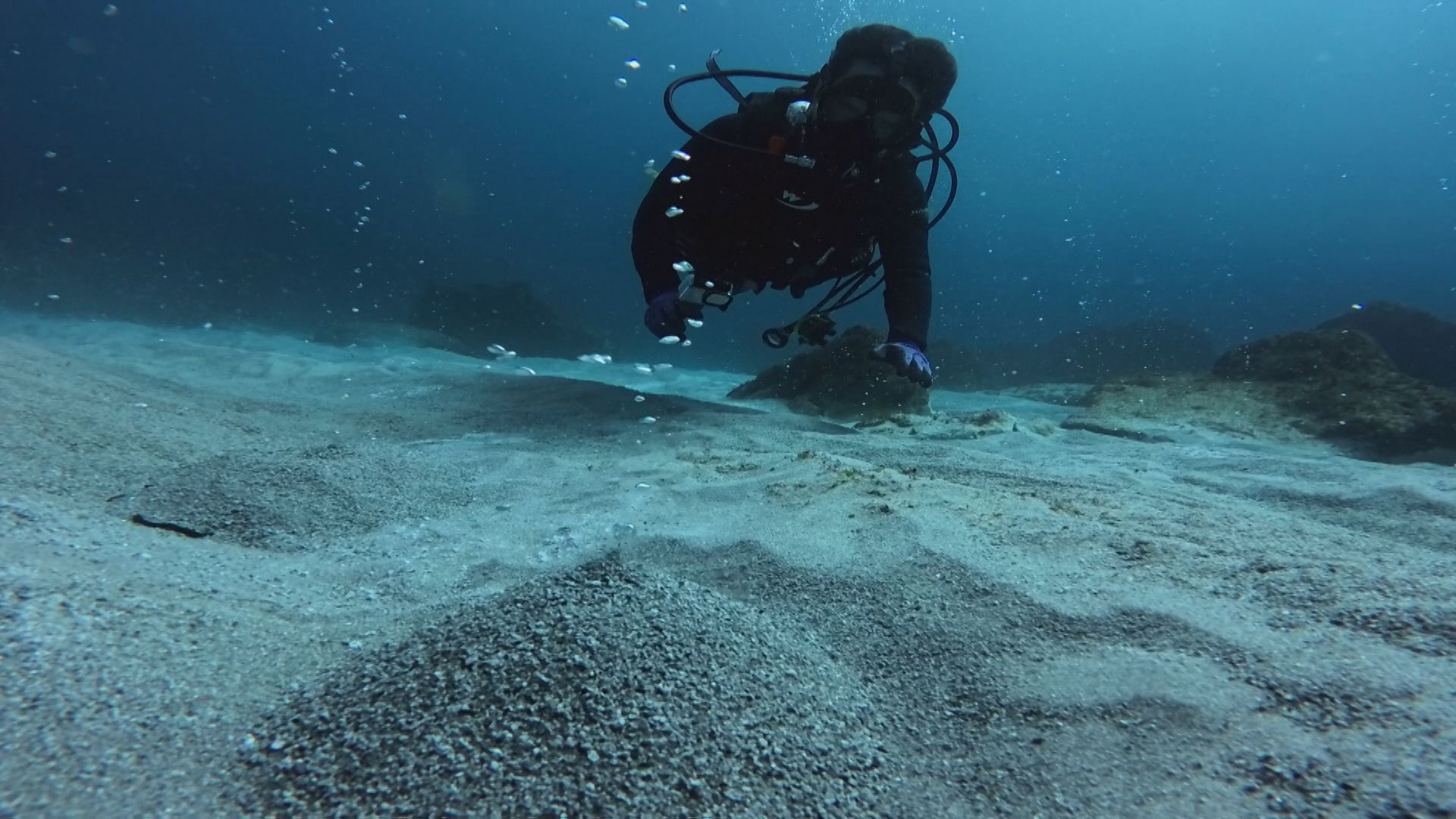 “海洋酸性化”の脅威とは？