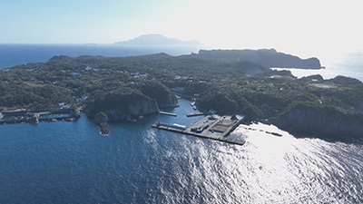 “海洋酸性化”の脅威とは？