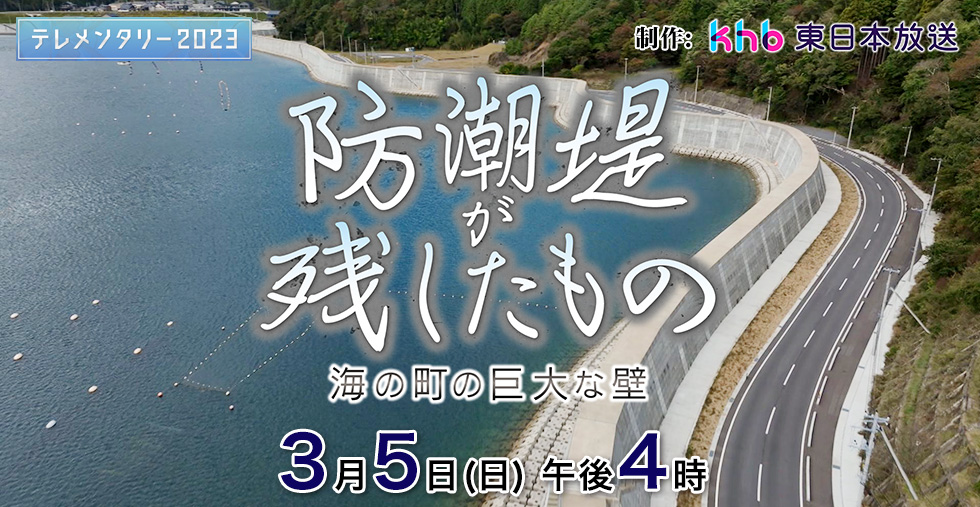 テレメンタリー2023「“3.11”を忘れない89　防潮堤が残したもの　～海の町の巨大な壁～｣