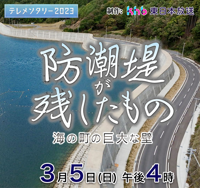 テレメンタリー2023「“3.11”を忘れない89　防潮堤が残したもの　～海の町の巨大な壁～｣