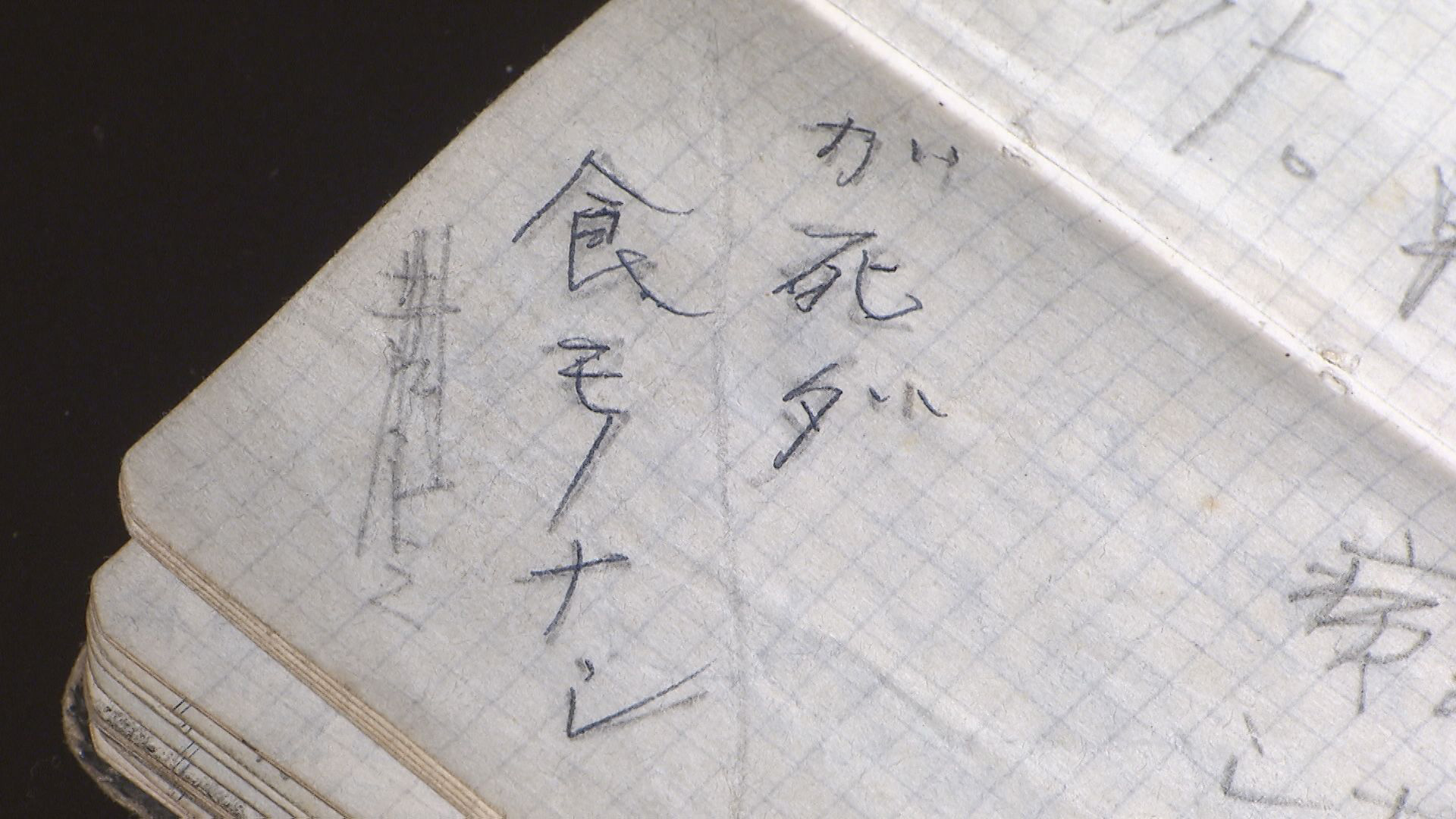 テレメンタリー2025「シリーズ戦後８０年『日記の中の父～餓死の島　８０年後の追憶～』」