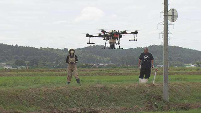 テレメンタリー2025「未来を耕す ~お米づくりは毎年1年生~」