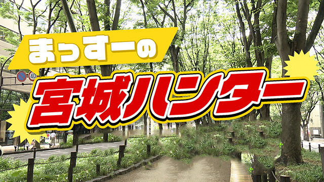 まっすーの宮城ハンター