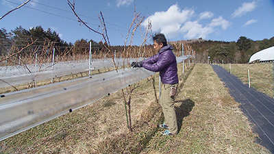 海と山のマリアージュ南三陸ワイナリー